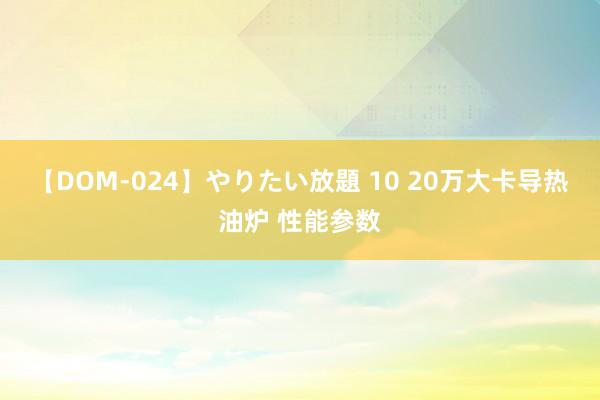 【DOM-024】やりたい放題 10 20万大卡导热油炉 性能参数