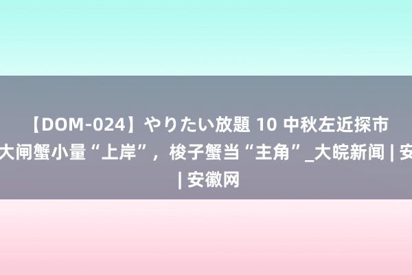 【DOM-024】やりたい放題 10 中秋左近探市集：大闸蟹小量“上岸”，梭子蟹当“主角”_大皖新闻 | 安徽网