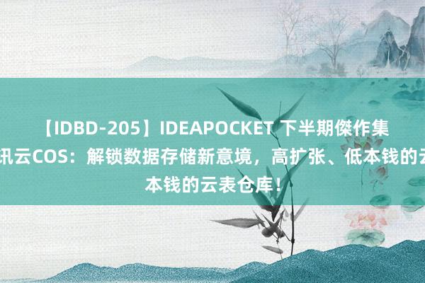 【IDBD-205】IDEAPOCKET 下半期傑作集2009 腾讯云COS：解锁数据存储新意境，高扩张、低本钱的云表仓库！