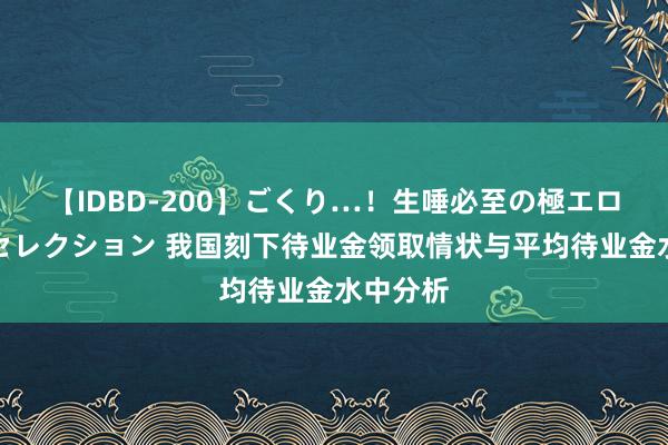 【IDBD-200】ごくり…！生唾必至の極エロボディセレクション 我国刻下待业金领取情状与平均待业金水中分析