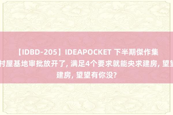 【IDBD-205】IDEAPOCKET 下半期傑作集2009 农村屋基地审批放开了， 满足4个要求就能央求建房， 望望有你没?